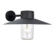 31666-001 Outdoor Textured Black & Clear Glass Wall Lamp