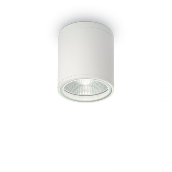 37243-007 Outdoor White Ceiling Lamp