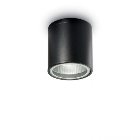 37244-007 Outdoor Black Ceiling Lamp