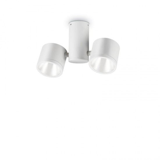 44530-007 Outdoor White 2 Lights Ceiling Lamp