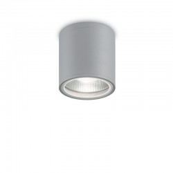 44072-007 Outdoor Grey Ceiling Lamp 44072-007 Outdoor Grey Ceiling Lamp