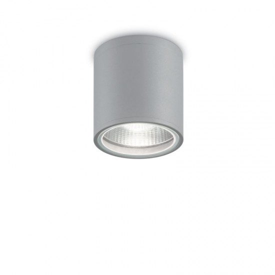 44072-007 Outdoor Grey Ceiling Lamp