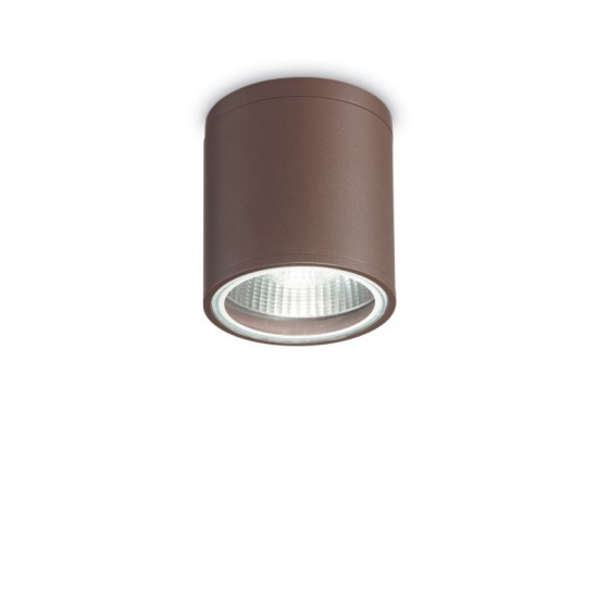 44071-007 Outdoor Coffee Ceiling Lamp