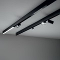 Track & Spotlights