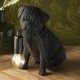 61533-001 Pug Puppy Black Table Lamp