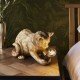 61529-001 Kitten Vintage Gold Table Lamp