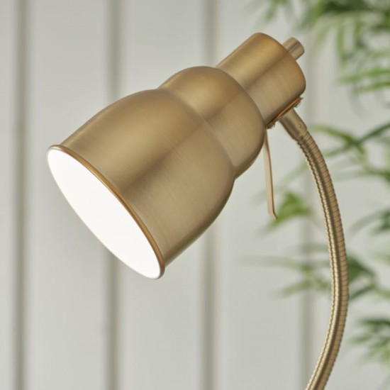 74326-001 Brushed Aged Brass Floor Lamp