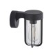 78791-001 Matt Black Wall Lamp with Clear Glass IP44