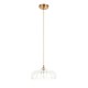 19235-001 Brushed Aged Brass Pendant with Decorative Glass