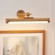 83014-001 Warm Brass USB Rechargeable Picture Light