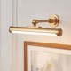 83014-001 Warm Brass USB Rechargeable Picture Light
