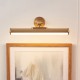 83016-001 Warm Brass USB Rechargeable Picture Light