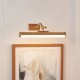 83017-001 Warm Brass USB Rechargeable Picture Light