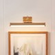 83017-001 Warm Brass USB Rechargeable Picture Light