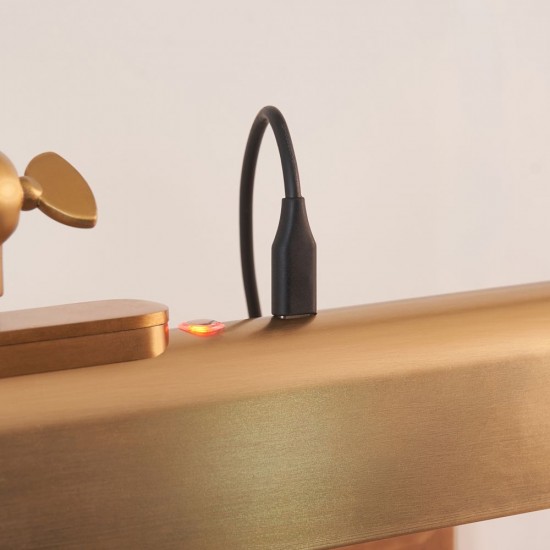 83018-001 Warm Brass USB Rechargeable Picture Light