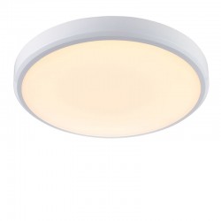 62421-001 White Flush with Colour Changing Technology 62421-001 White Flush with Colour Changing Technology