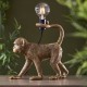 71654-001 Vintage Capuchin Gold Table Lamp