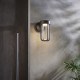 74317-100 Outdoor Brushed Bronze LED Wall Lamp with Clear Glass