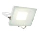 31880-001 Outdoor LED White Floodlight 50W