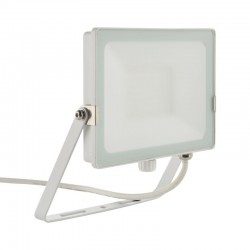 31880-001 Outdoor White LED Floodlight 50W