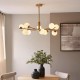 78786-001 Brushed Aged Brass 10 Light Centre Fitting with Matt Opal Glass