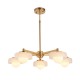 78815-001 Brushed Aged Brass 5 Light Centre Fitting with Frosted & Opal Glass