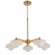 78815-001 Brushed Aged Brass 5 Light Centre Fitting with Frosted & Opal Glass