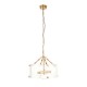 78780-001 Brushed Aged Brass 4 Light Pendant with Clear Textured Curved Glass