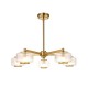 78818-001 Brushed Aged Brass 5 Light Centre Fitting with Clear Ribbed Glass