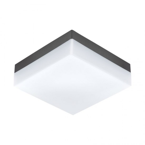 40832-002 Outdoor LED Anthracite Wall/Ceiling Lamp