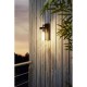 41989-002 Outdoor Black Wall Lamp with Clear Glass