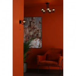 65017-003 Black 5 Light Ceiling Lamp with Smoky Glasses