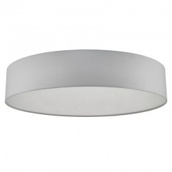 51999-003 Flush with Ivory Shade & Diffuser