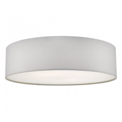 52001-003 Flush with Ivory Shade & Diffuser
