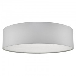 52001-003 Flush with Ivory Shade & Diffuser