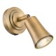 79707-003 Aged Brass Single Spotlight