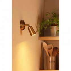 79707-003 Aged Brass Single Spotlight