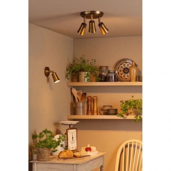 79707-003 Aged Brass Single Spotlight