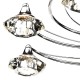 5501-003 Polish Chrome 10 Light Centre Fitting with Crystal Glasses