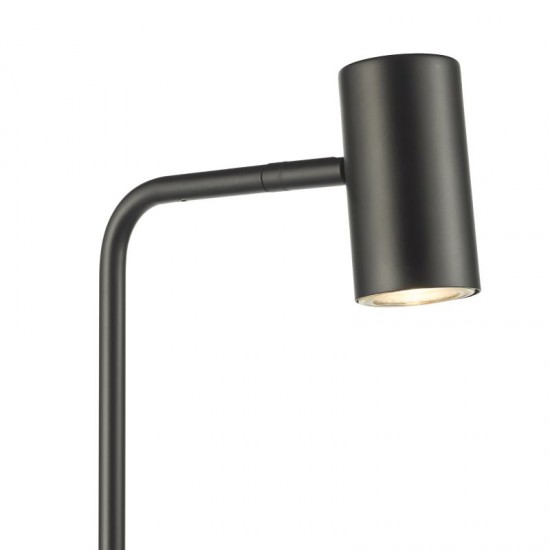 79657-003 Matt Black Task Floor Lamp