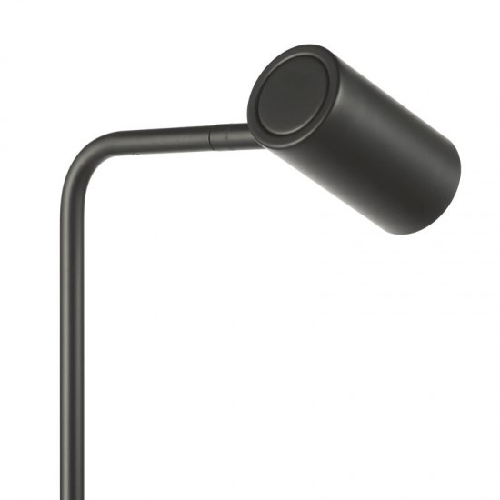 79657-003 Matt Black Task Floor Lamp