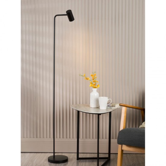 79657-003 Matt Black Task Floor Lamp