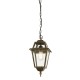 71880-006 Outdoor Black & Gold Pendant with Glass