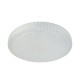 16489-010 LED Flush with CCT and Remote Control Ø40 cm