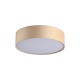 79040-006 Champagne Velvet 2 Light Flush