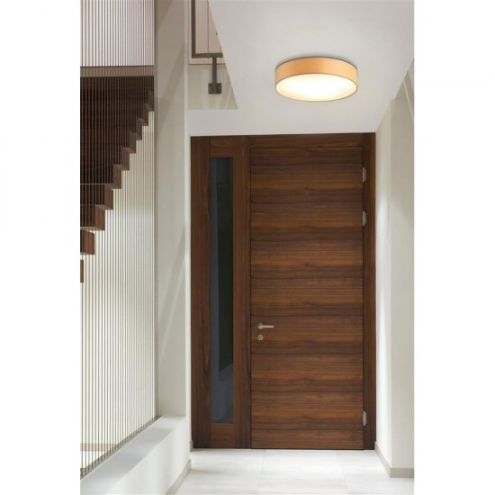 79041-006 Champagne Velvet 3 Light Flush