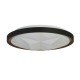 75440-006 Black & Gold LED Flush with Star Effect Diffuser