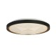 75440-006 Black & Gold LED Flush with Star Effect Diffuser