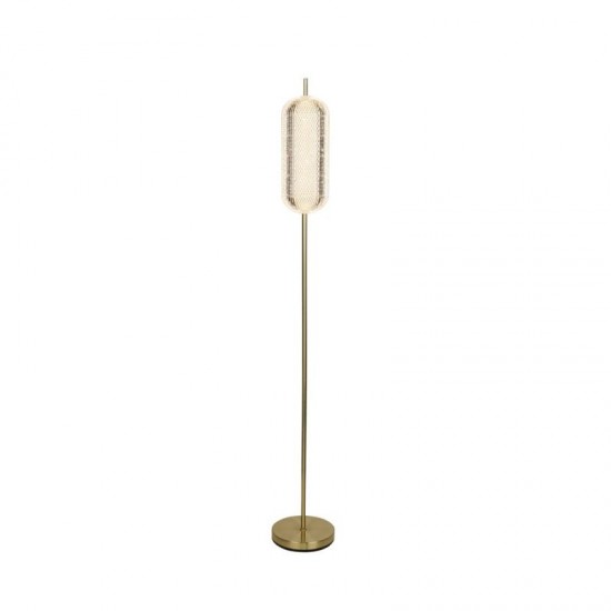 75457-006 Satin Brass LED Floor Lamp with Clear Acrylic Shade