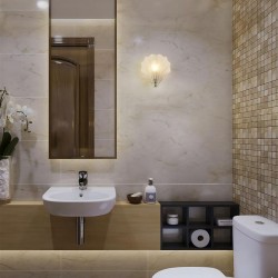 75467-006 Satin Silver Wall Lamp with Frosted Glass IP44